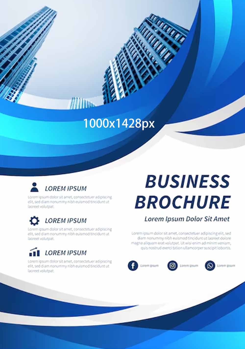 Catalogue and Brochure 3